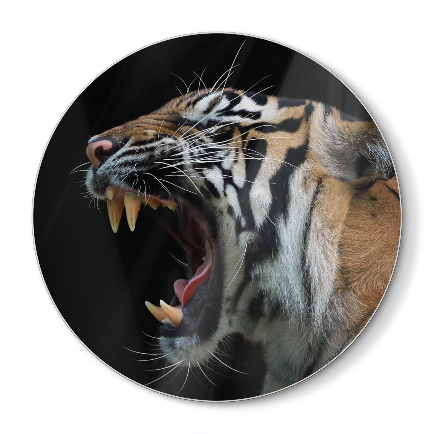 Schneidebrett Rund - Kopf des Sumatra-Tigers