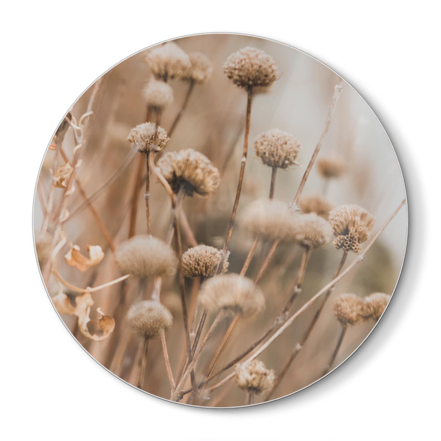 Schneidebrett Rund - Winterliche Trockenblumen