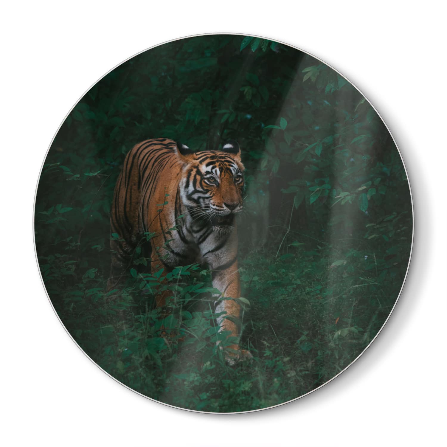 Schneidebrett Rund - Bengalischer Tiger im Wald