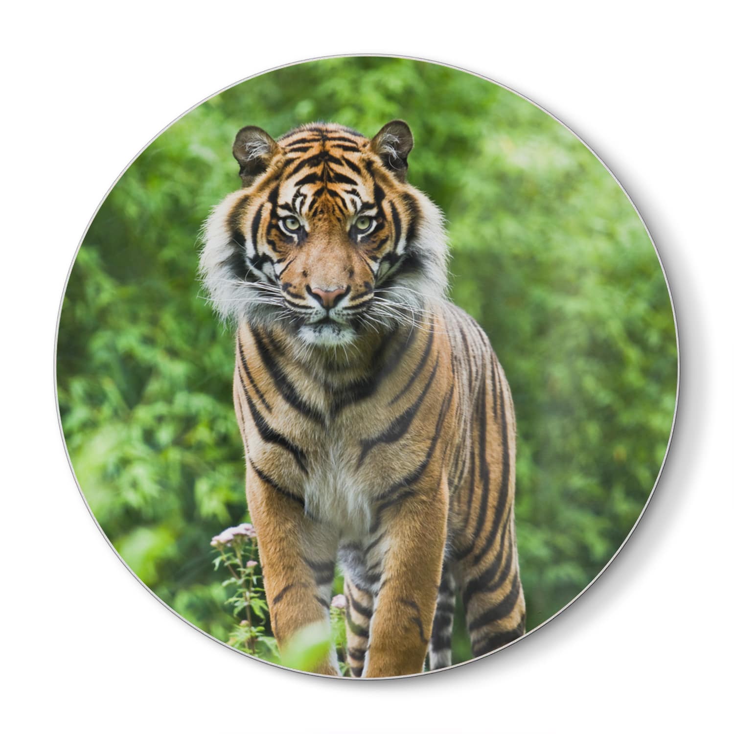 Schneidebrett Rund - Bengalischer Tiger