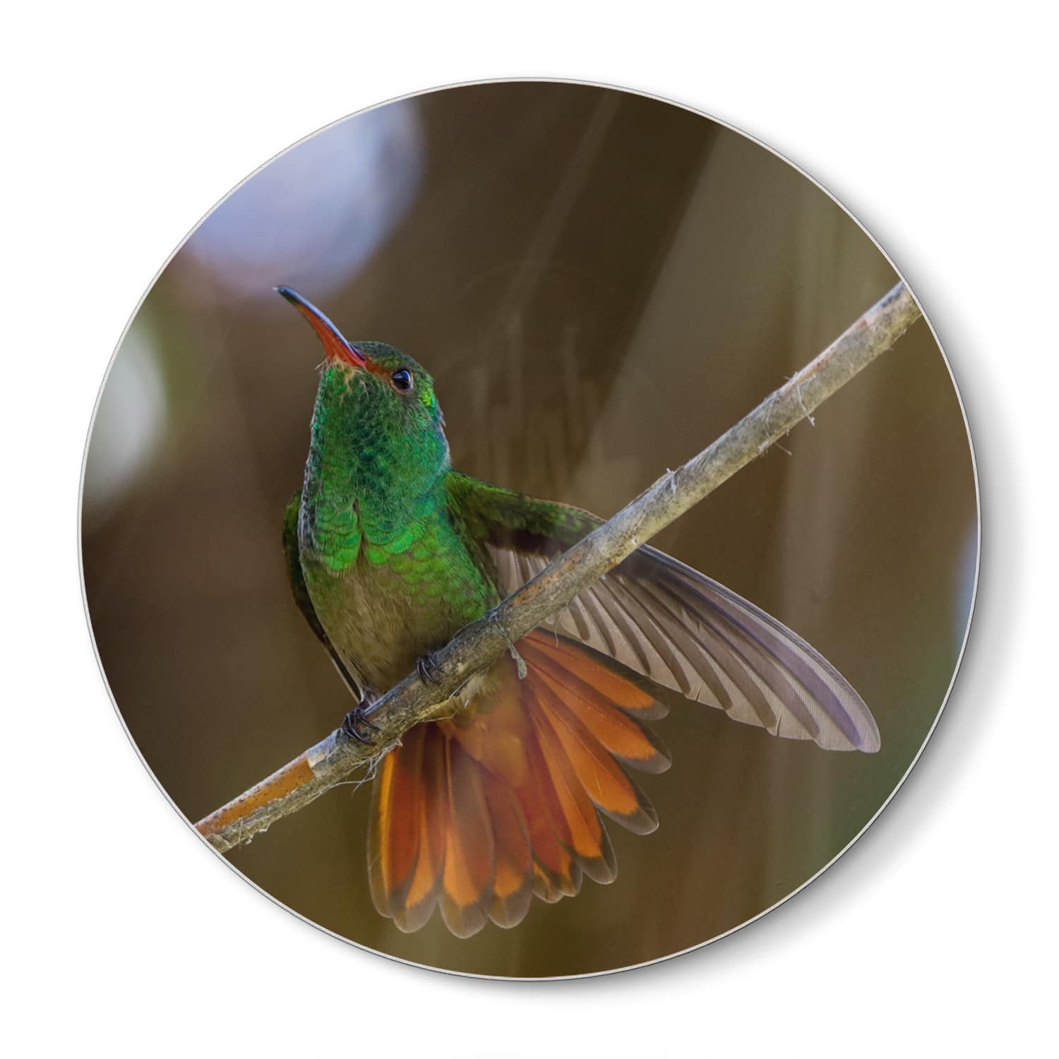 Schneidebrett Rund - Kolibri