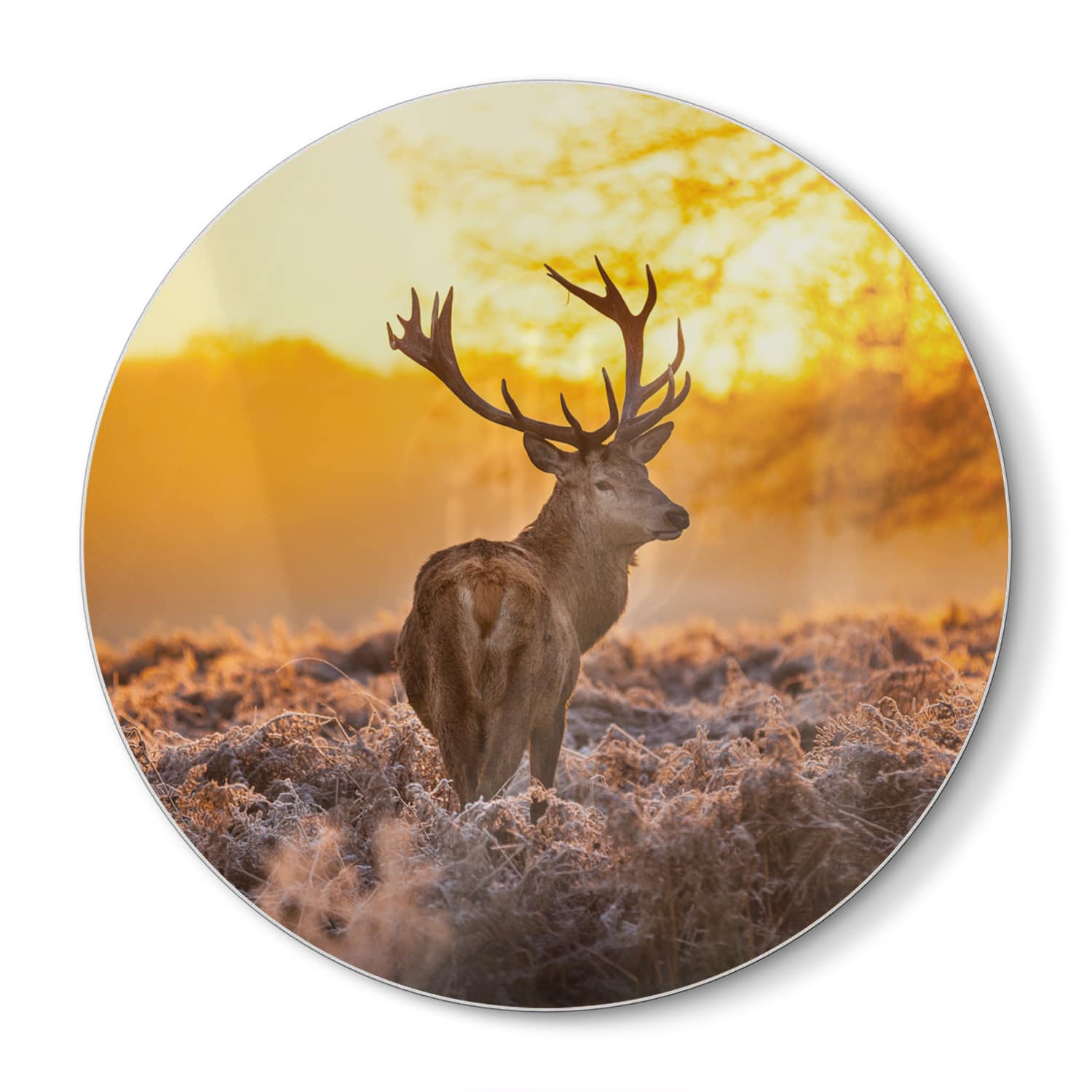 Schneidebrett Rund - Edelhirsch in der Morgensonne