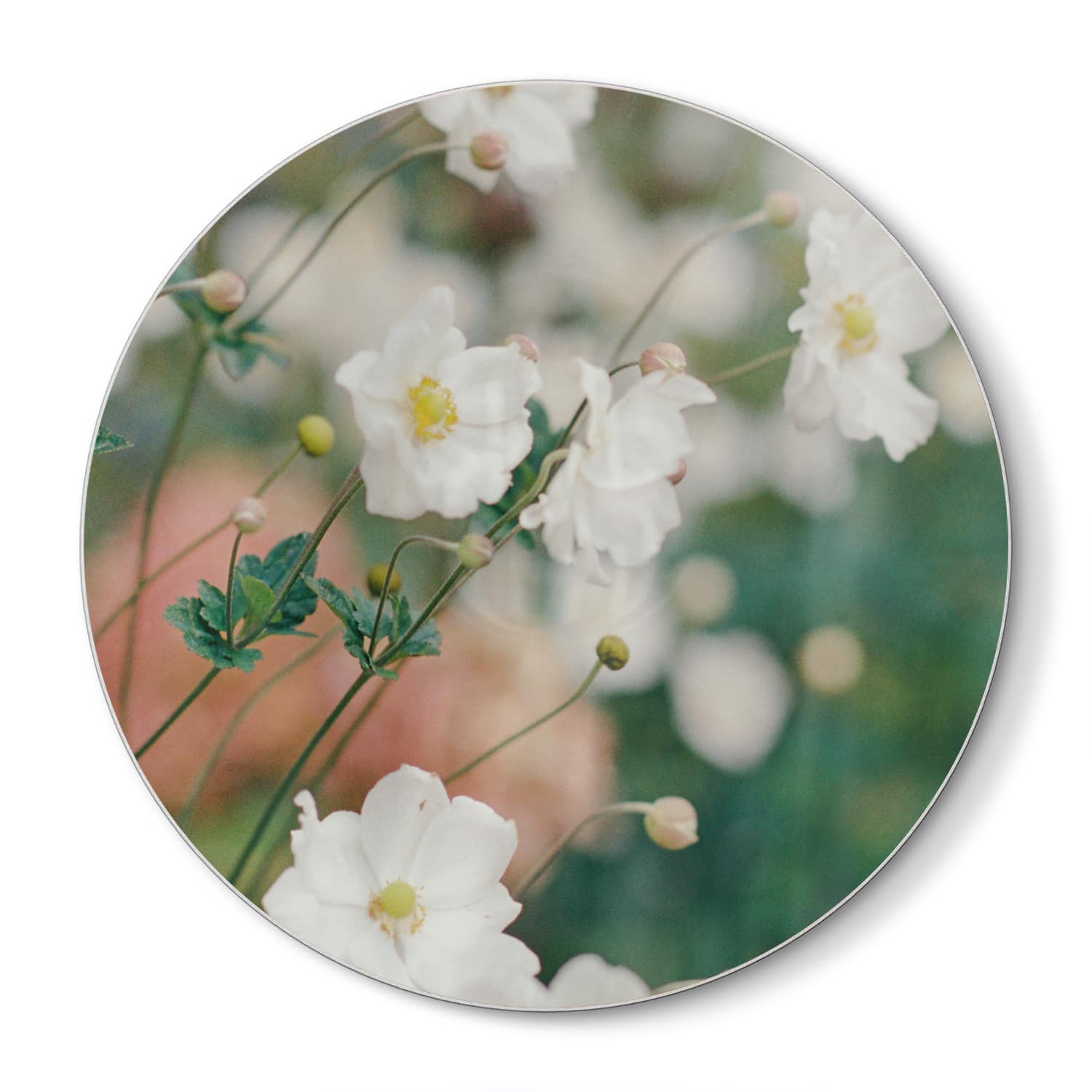 Schneidebrett Rund - Weiße Blumen im Garten