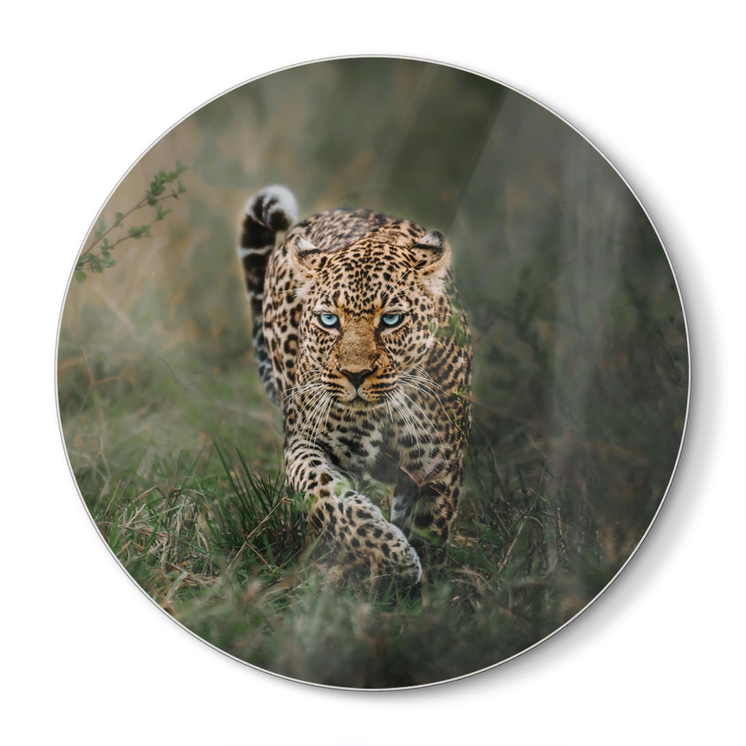 Schneidebrett Rund - Leopard im Gras