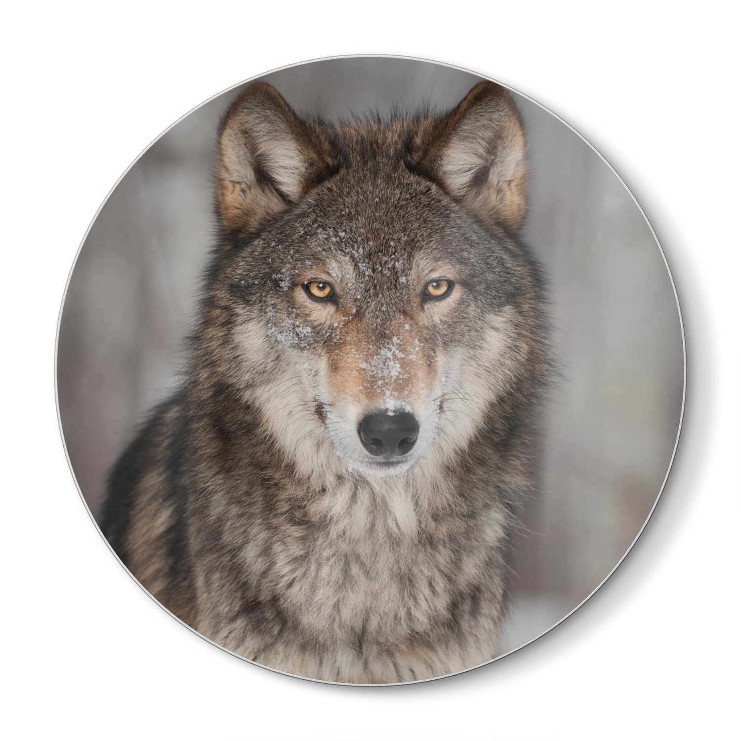 Schneidebrett Rund - Grauer Wolf