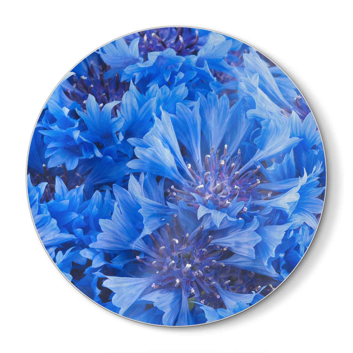 Schneidebrett Rund - Blaue Kornblume