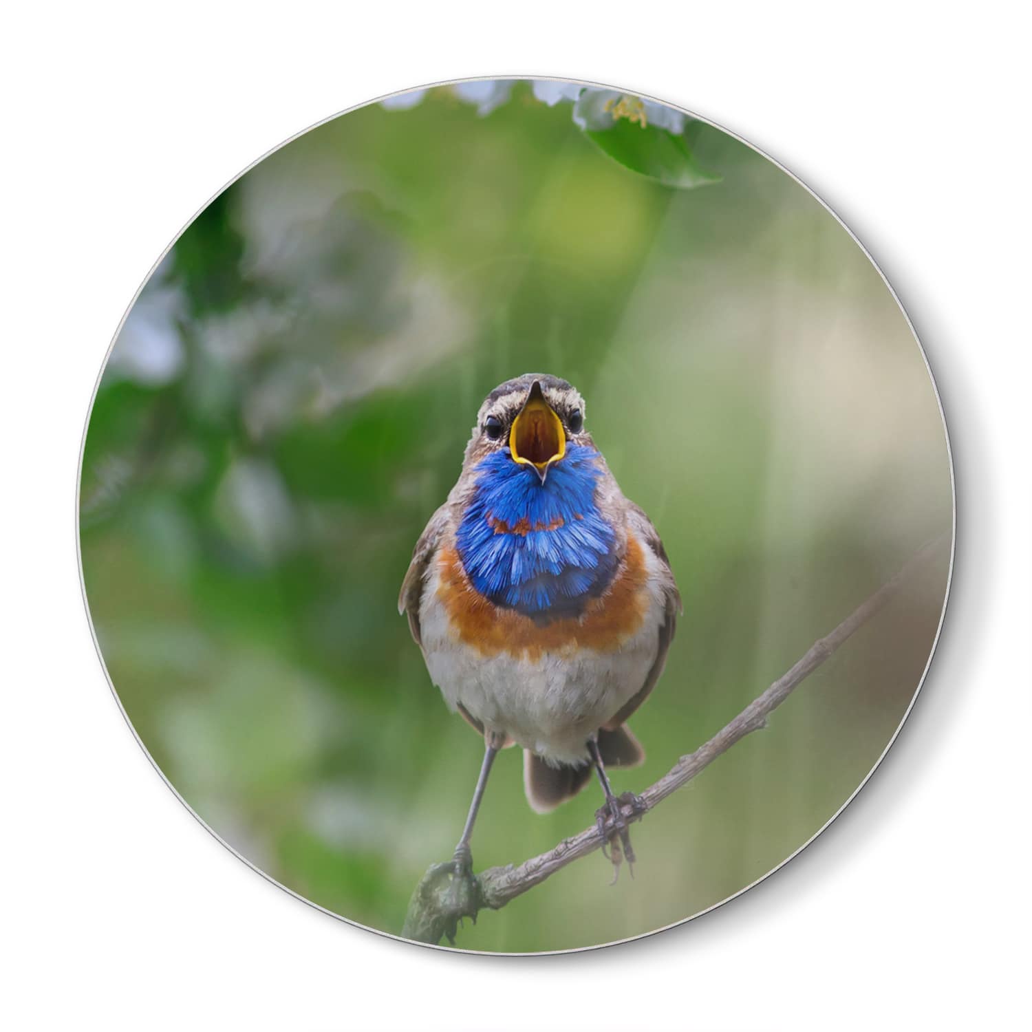 Schneidebrett Rund - Süßes Blaukehlchen