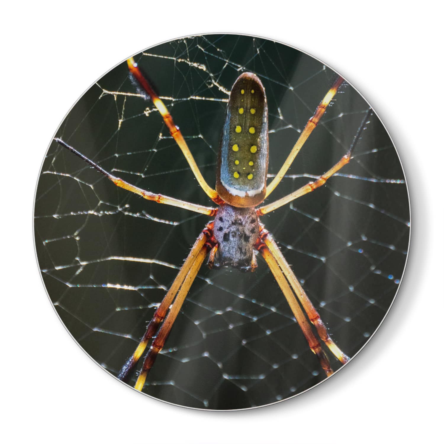 Schneidebrett Rund - Goldene Webspinne