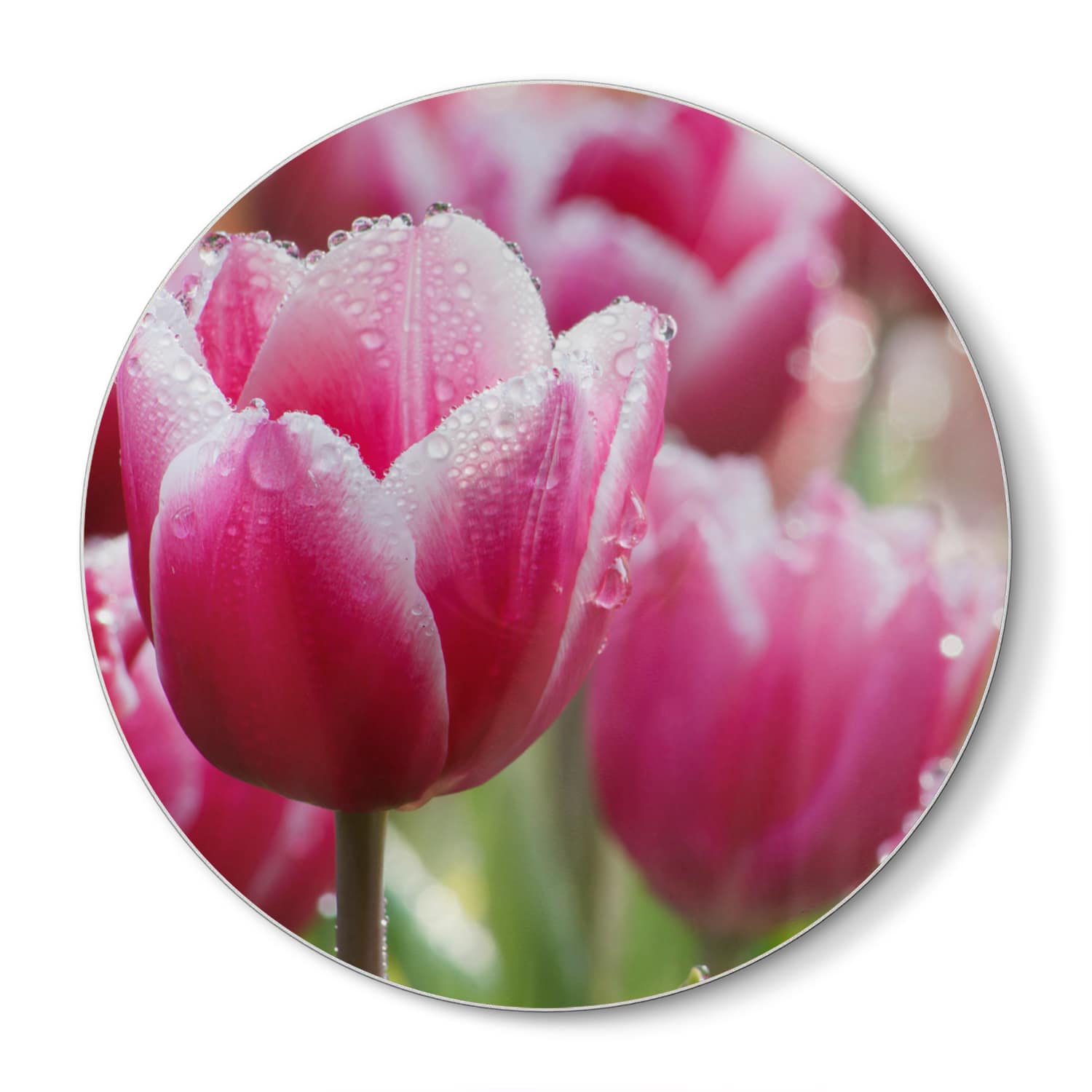 Schneidebrett Rund - Nasse Tulpen