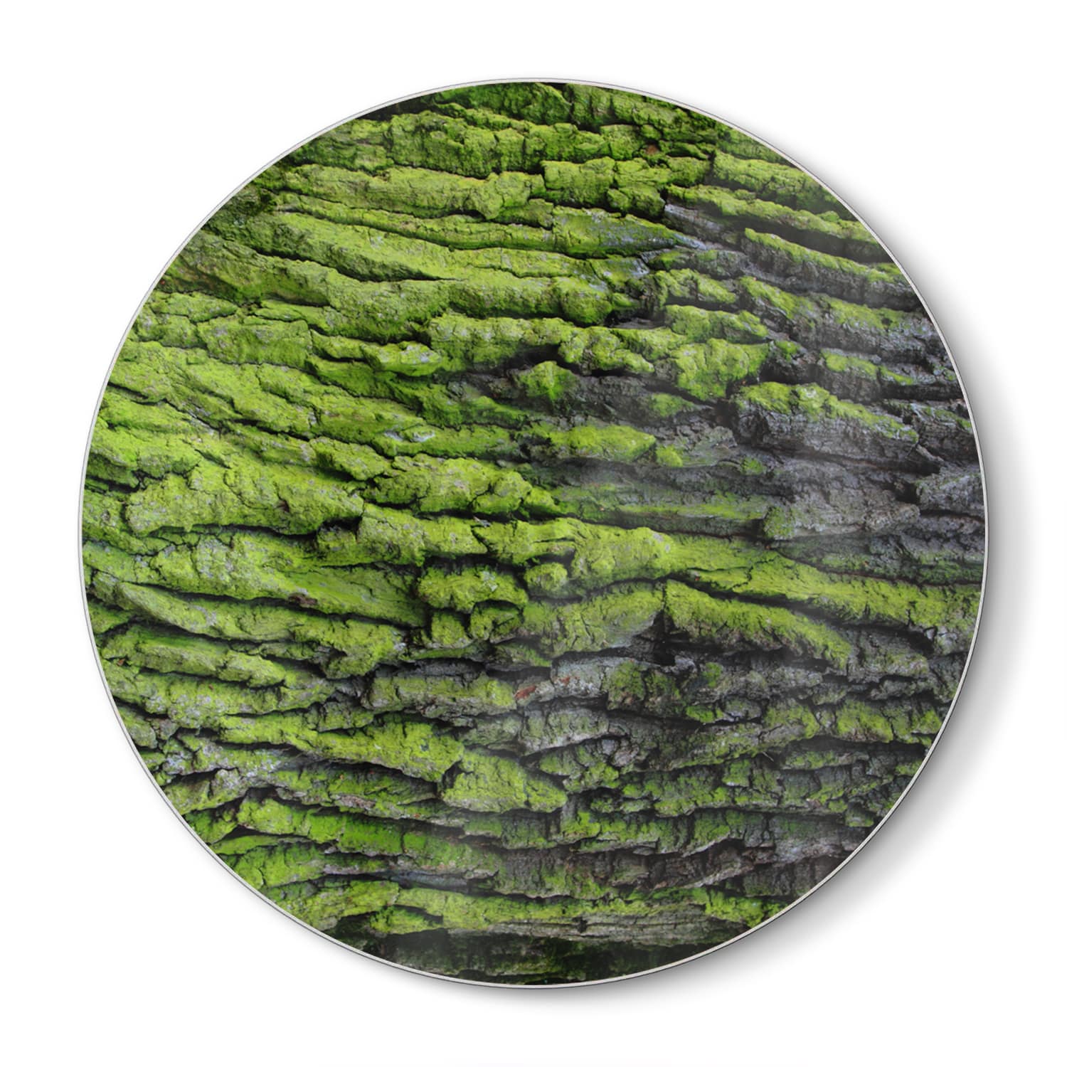 Schneidebrett Rund - Grüne Rinden-Textur