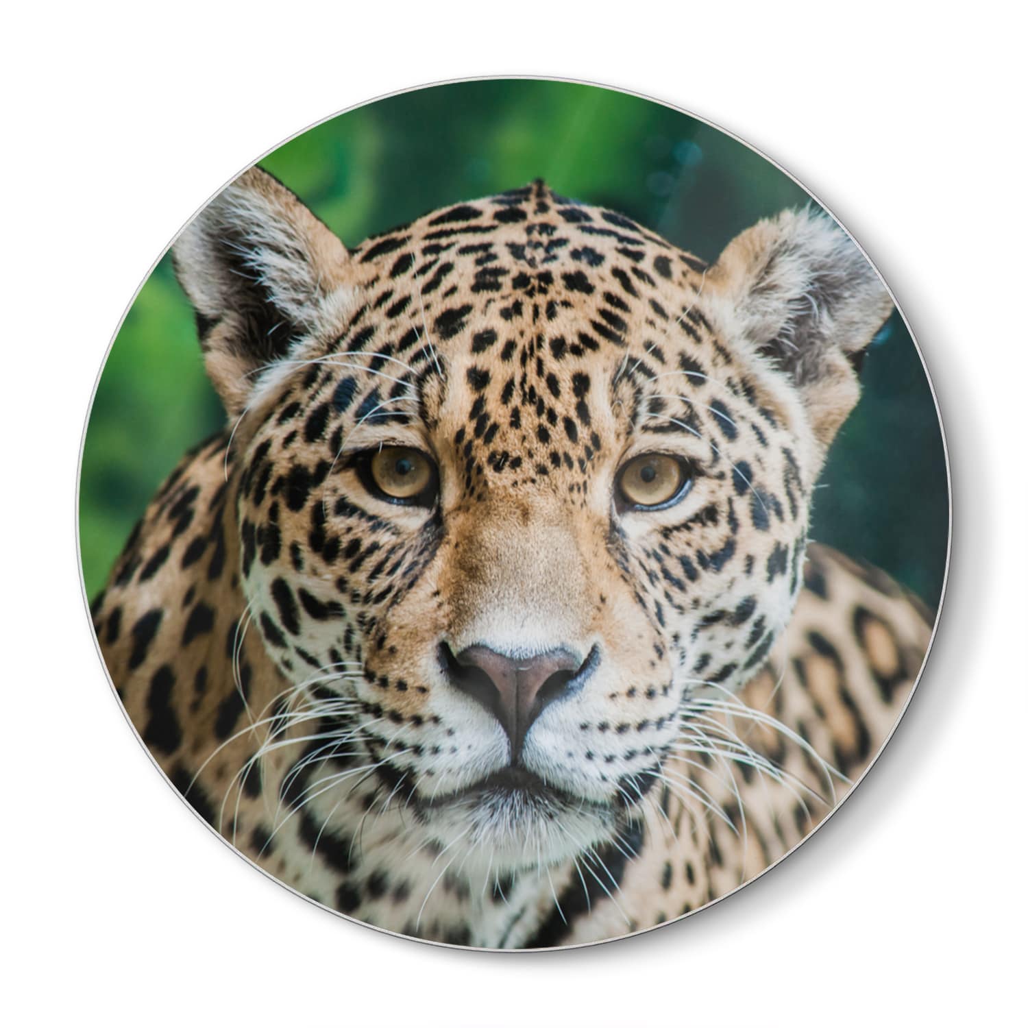 Schneidebrett Rund - Jaguar