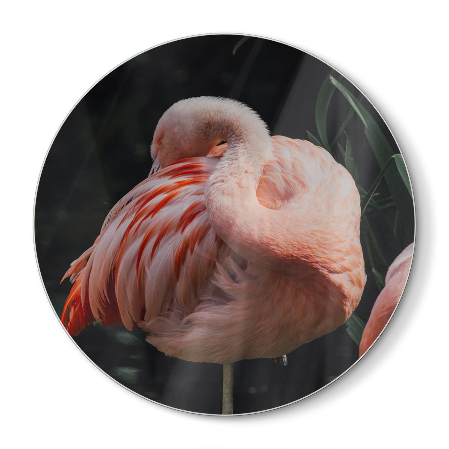 Schneidebrett Rund - Flamingo in der Natur