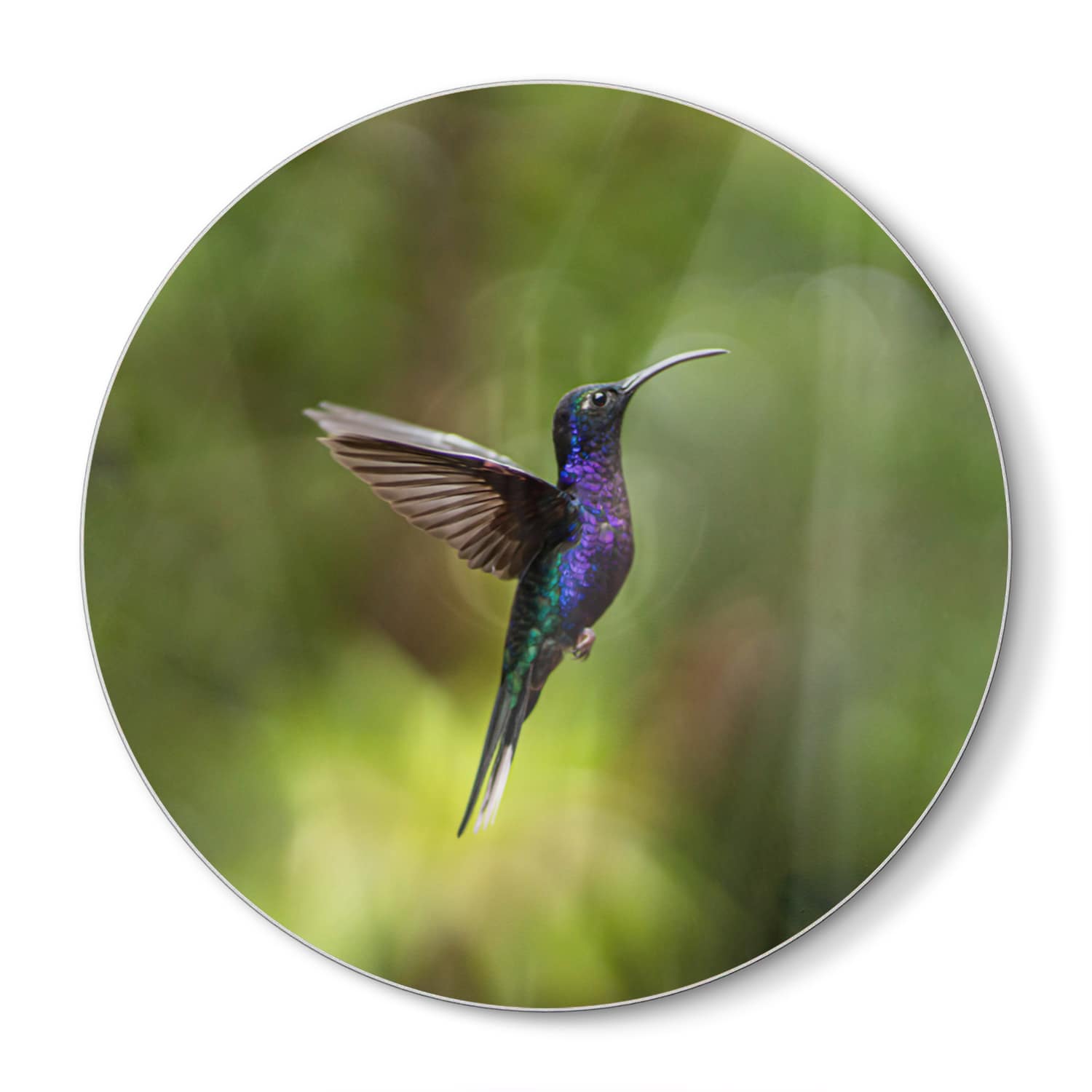 Schneidebrett Rund - Bunter Kolibri