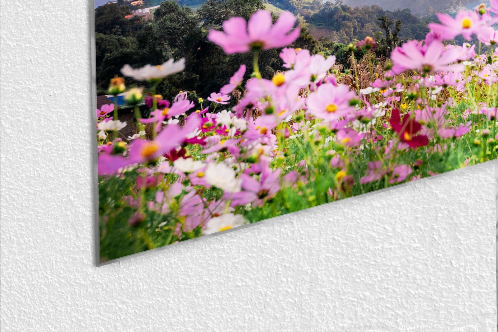 Glas-Whiteboard Tal Chiang Mai – magnetisch, kratzfest & rahmenlos