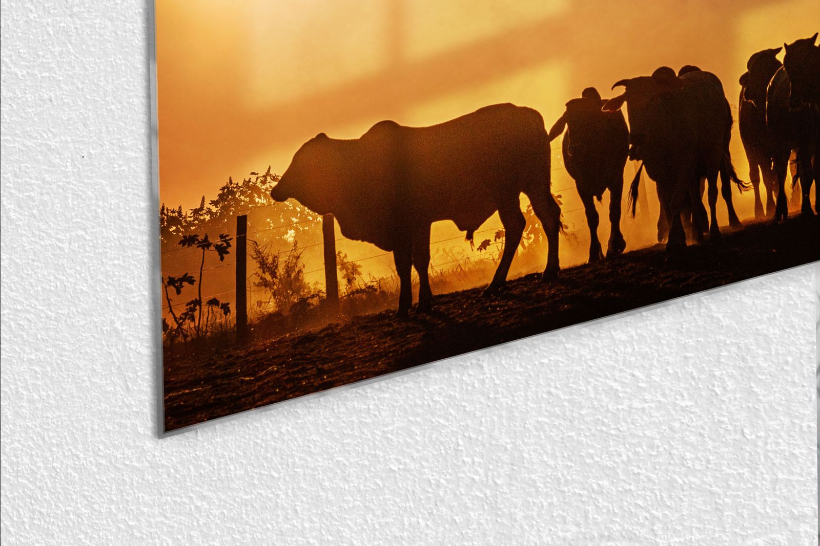 Mydesignglas Glas Whiteboard - Tiere am Horizont – magnetisch, kratzfest & rahmenlos