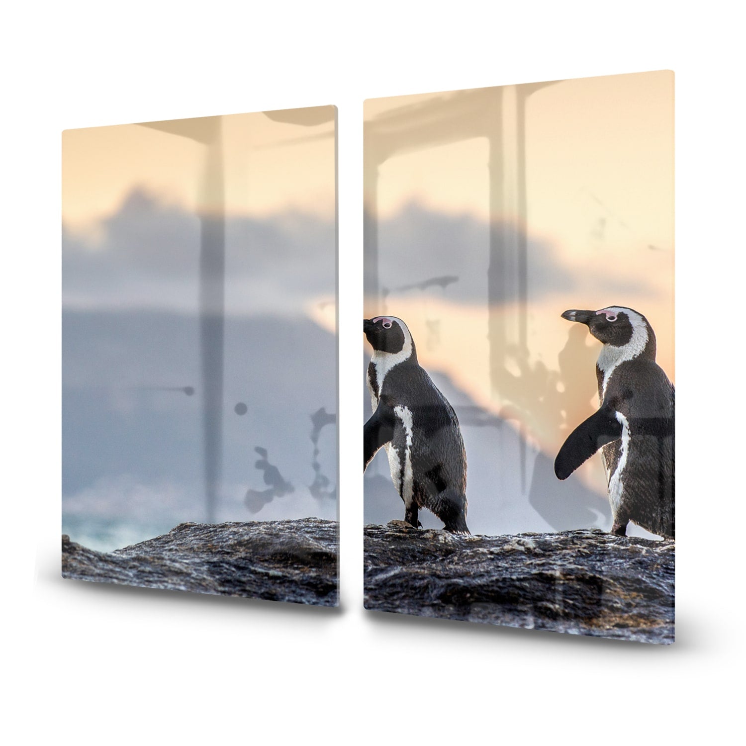 Herdabdeckplatte Afrikanische Pinguine