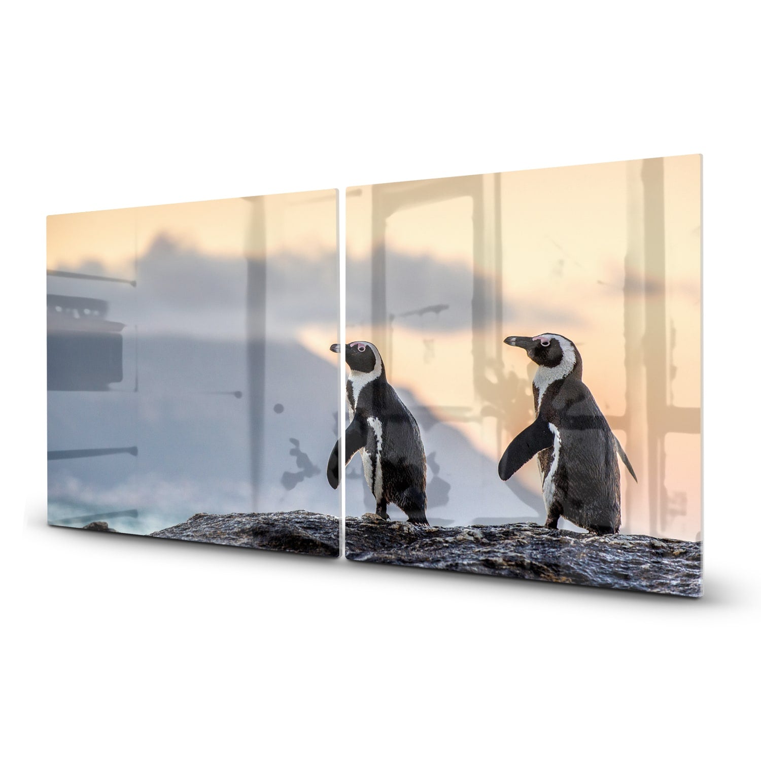 Herdabdeckplatte Afrikanische Pinguine