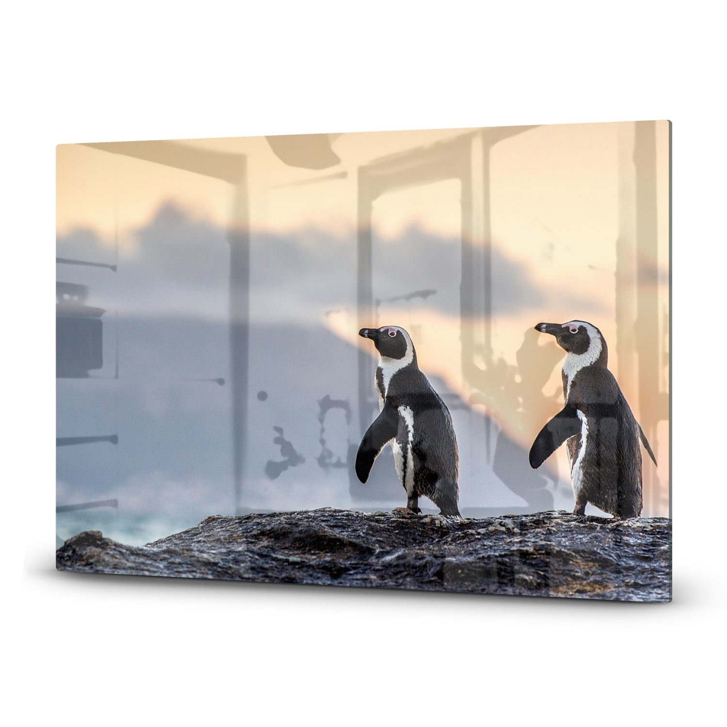 Herdabdeckplatte Afrikanische Pinguine