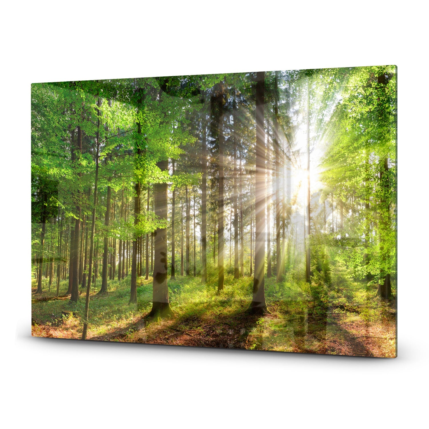 Herdabdeckplatte Sonnenlicht im Wald