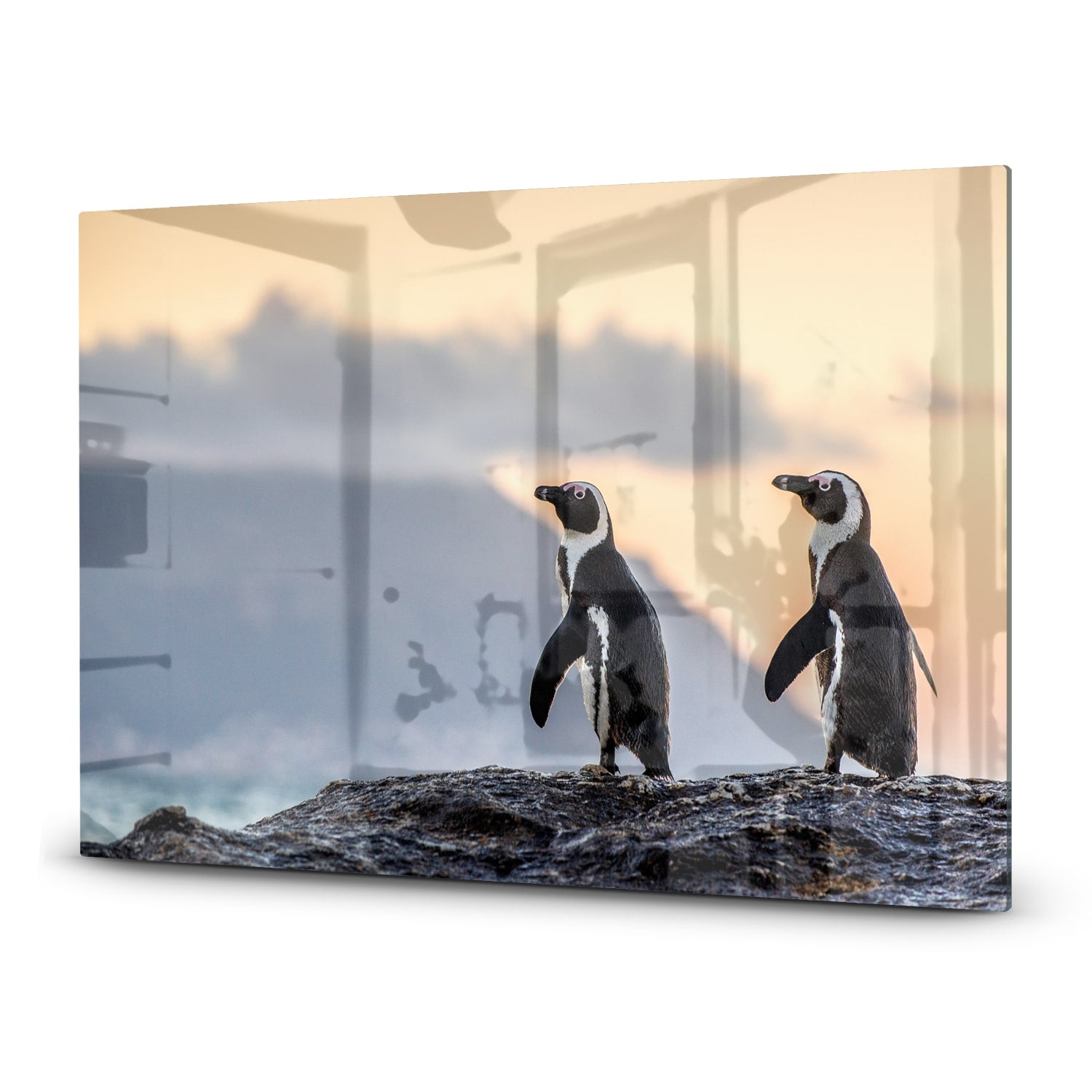 Herdabdeckplatte Afrikanische Pinguine