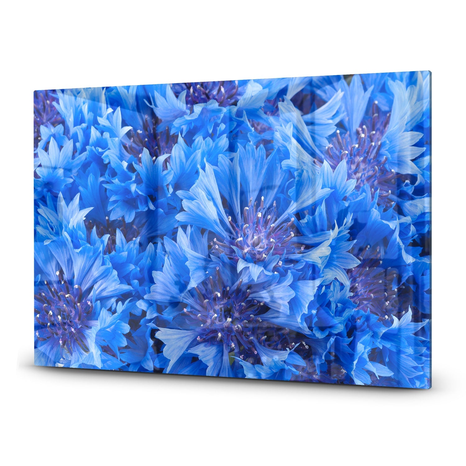 Herdabdeckplatte Blaue Kornblume