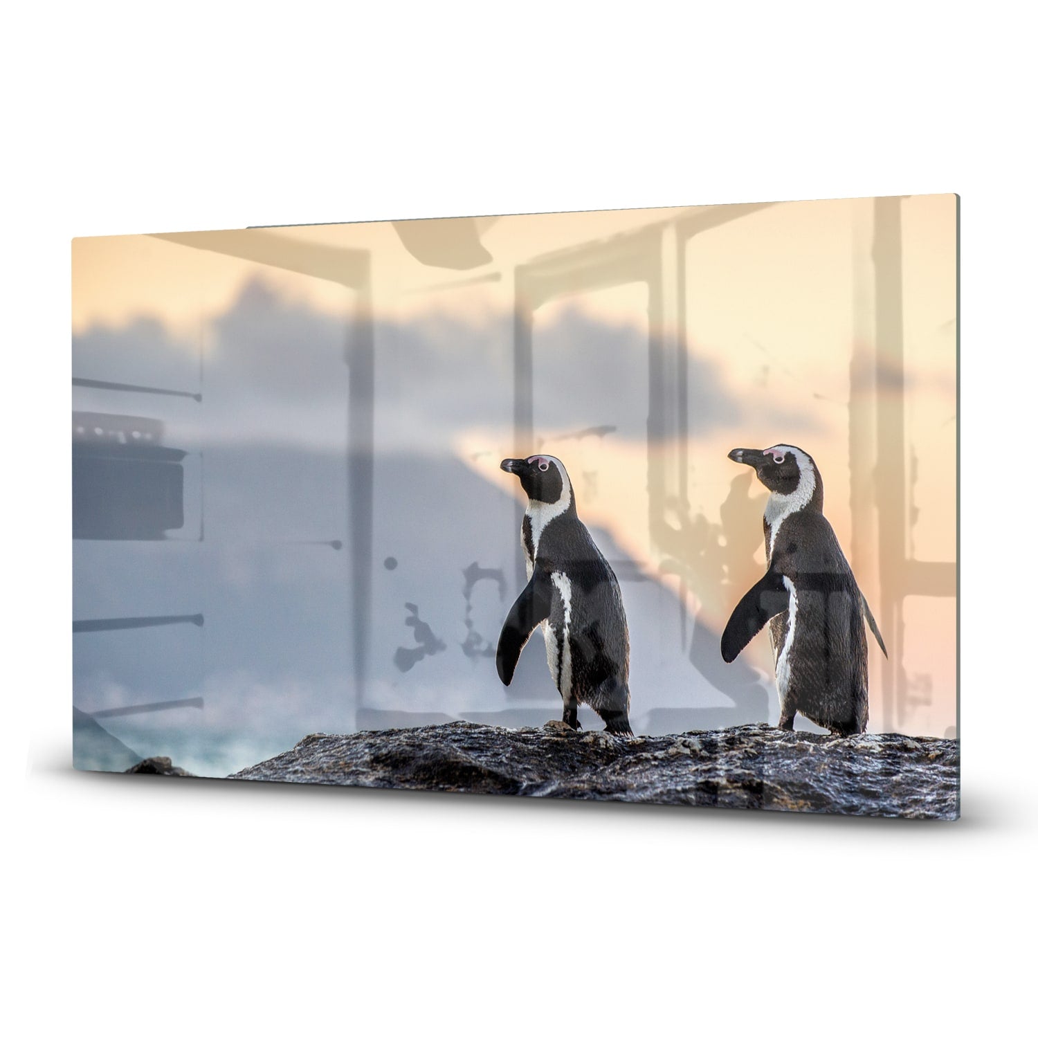 Herdabdeckplatte Afrikanische Pinguine