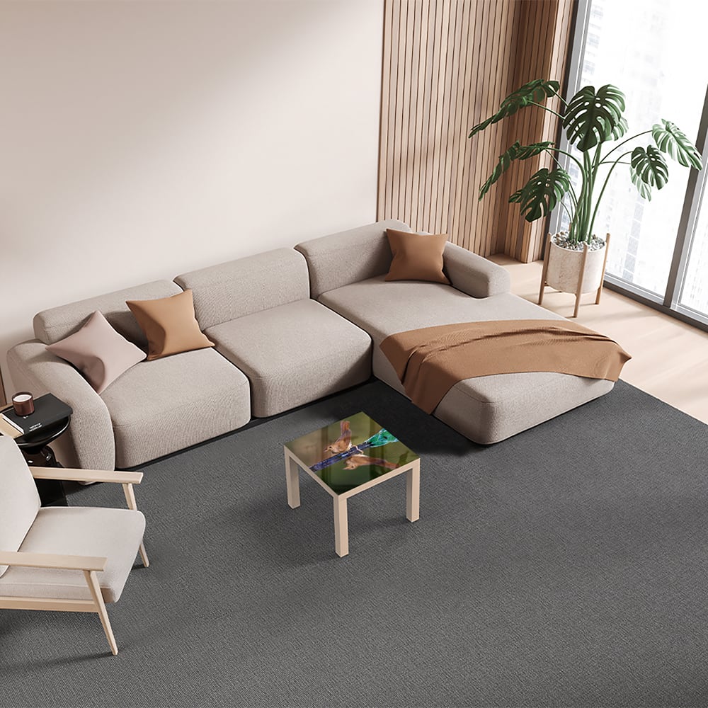 IL_WHITE_55x55_561252754, IL_WHITE_55x55_561252754, IL_WHITE_55x55_561252754, IL_WHITE_55x55_561252754