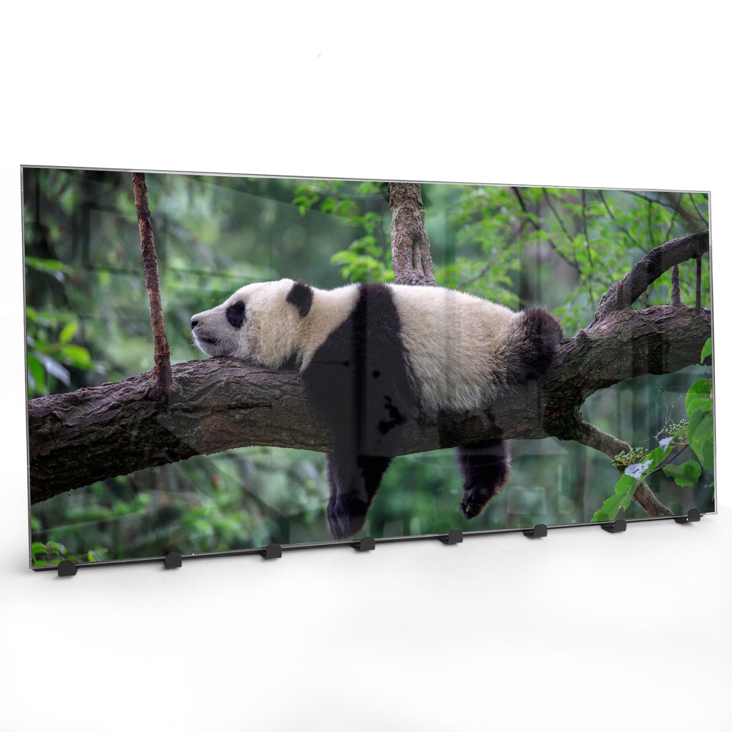 Wandgarderobe Panda