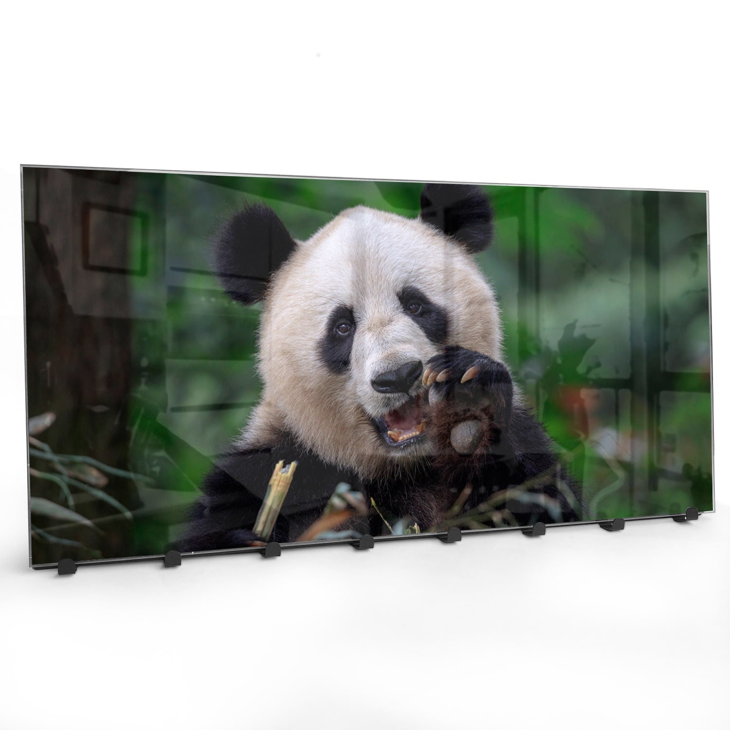 Wandgarderobe Glücklicher Panda