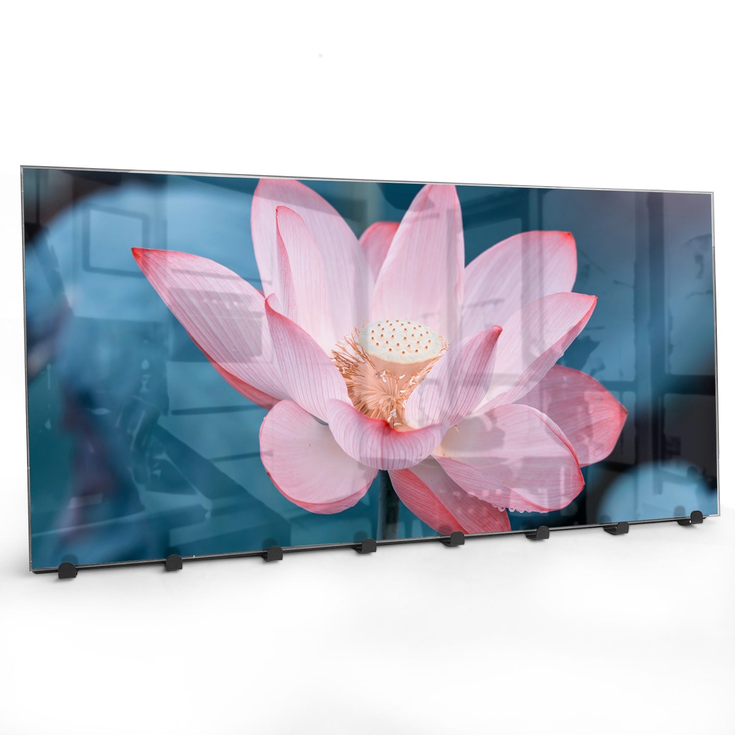 Wandgarderobe Lotusblume