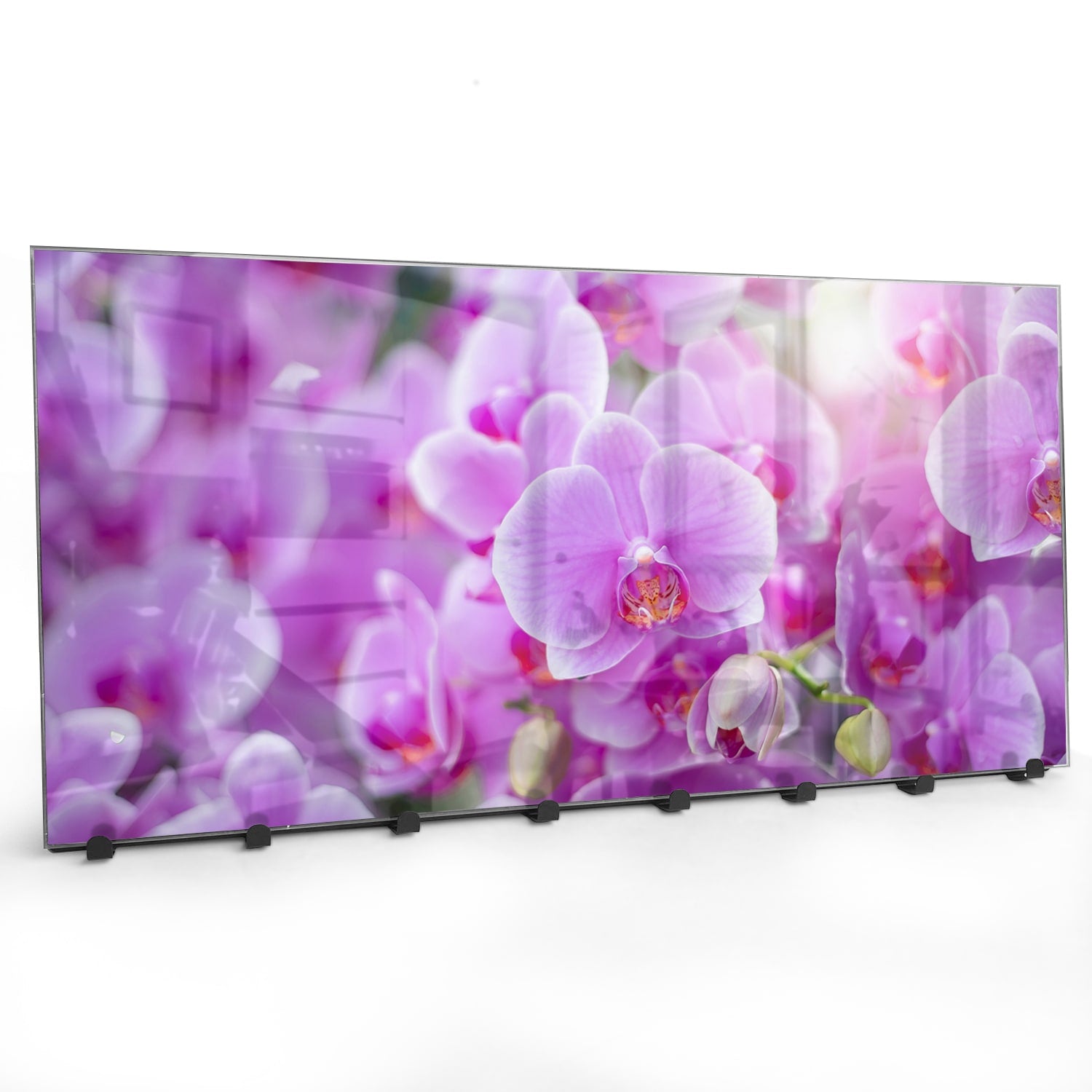 Wandgarderobe Strahlende Orchideen