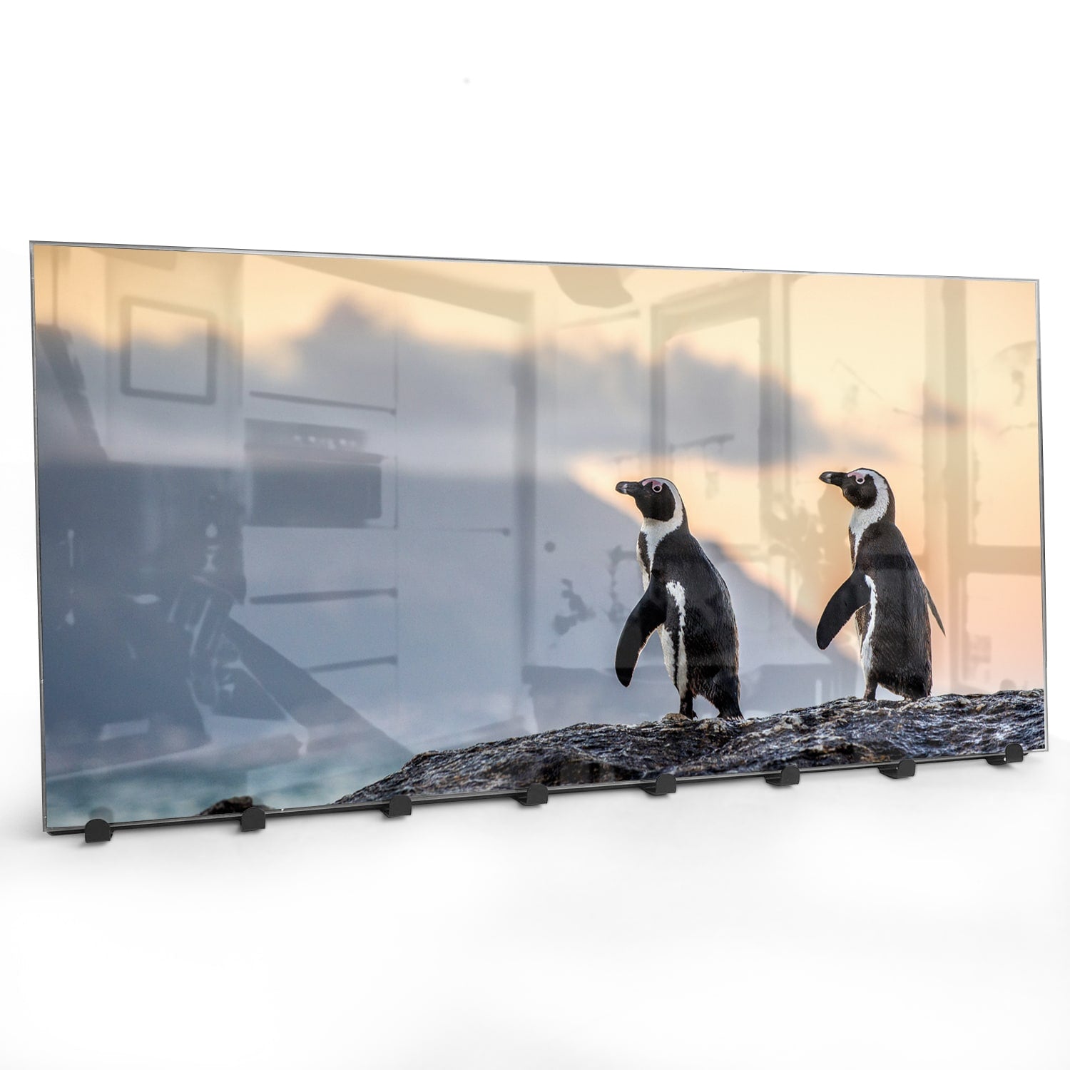 Wandgarderobe Afrikanische Pinguine