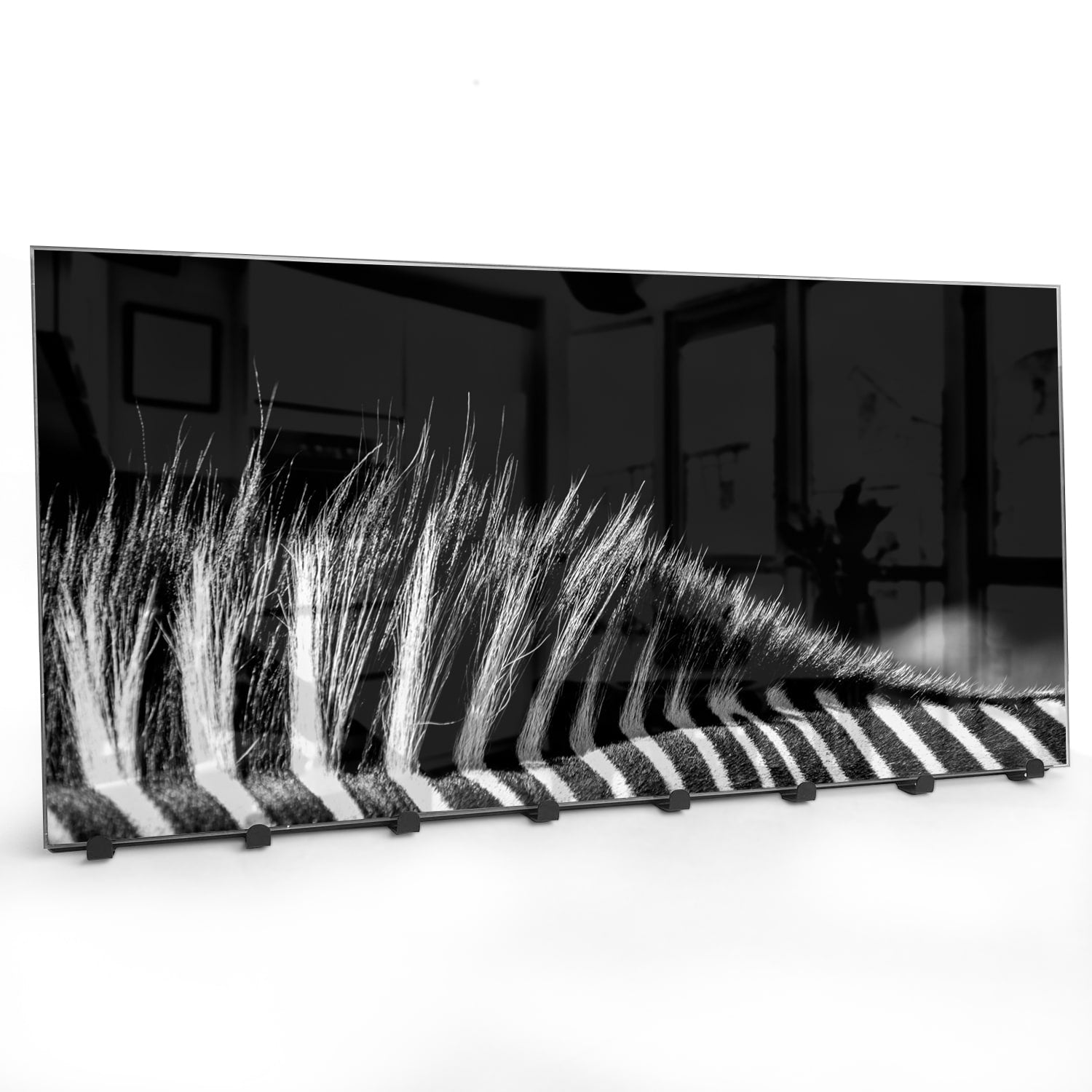 Wandgarderobe Schwarz-weiß Zebra