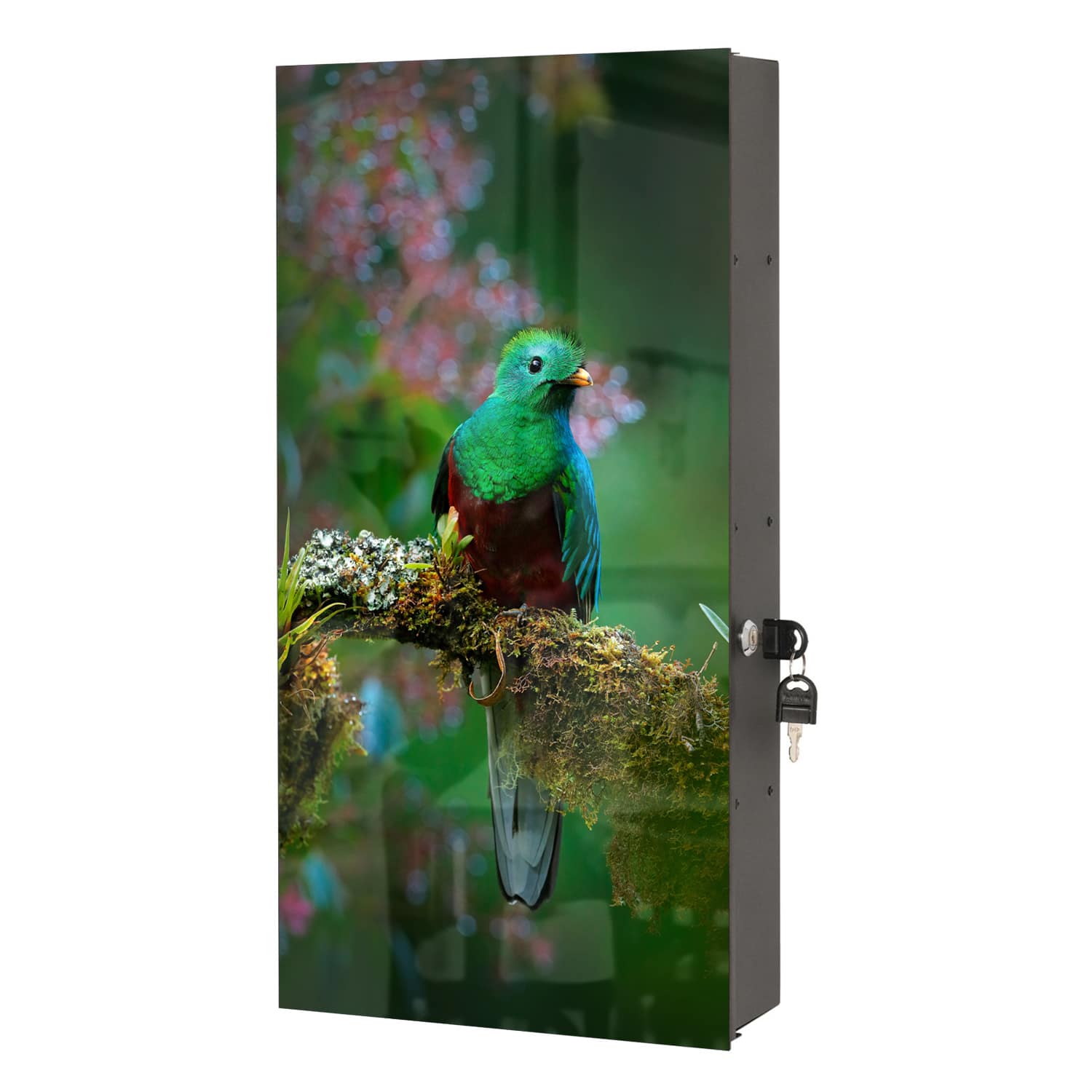 Medizinschrank Quetzal-Vogel