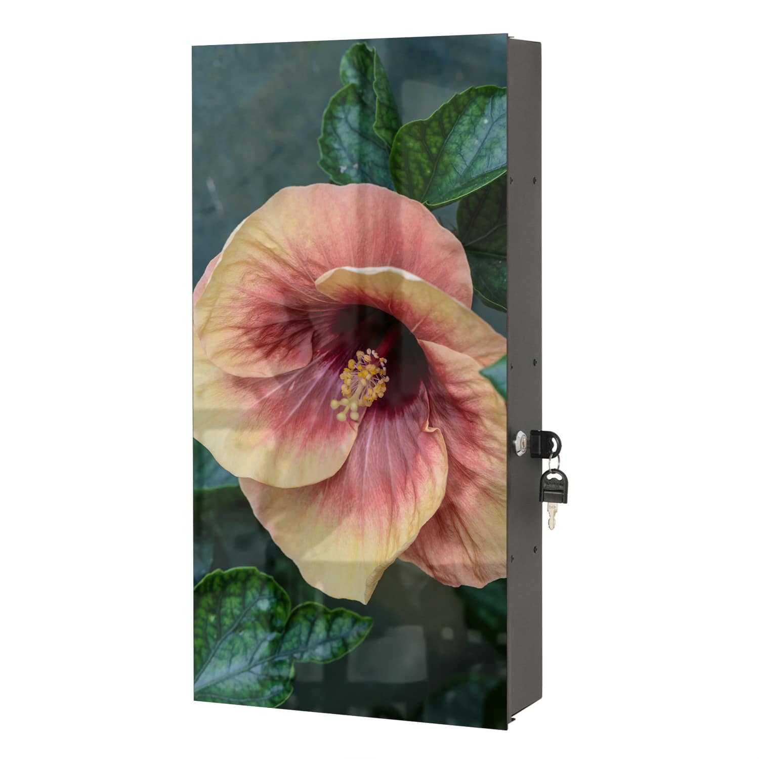 Medizinschrank Tropische Hibiskus