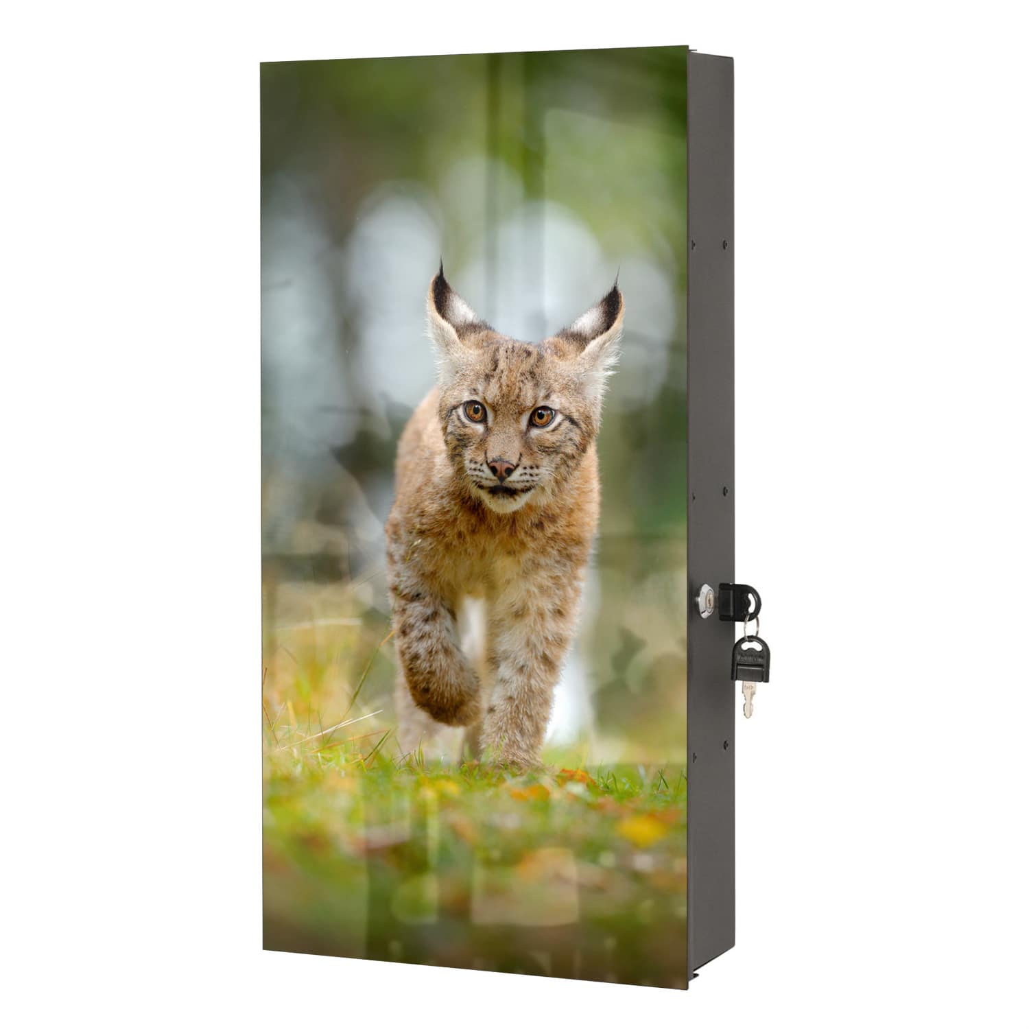 Medizinschrank Junger Luchs