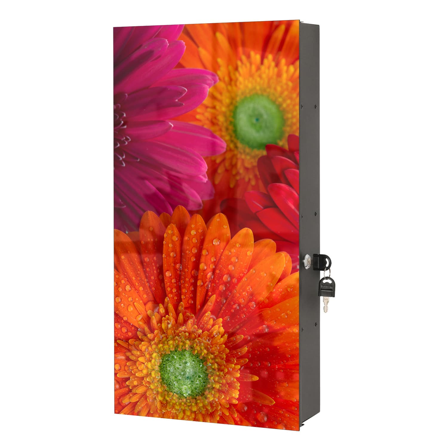 Medizinschrank Strahlende Gerbera