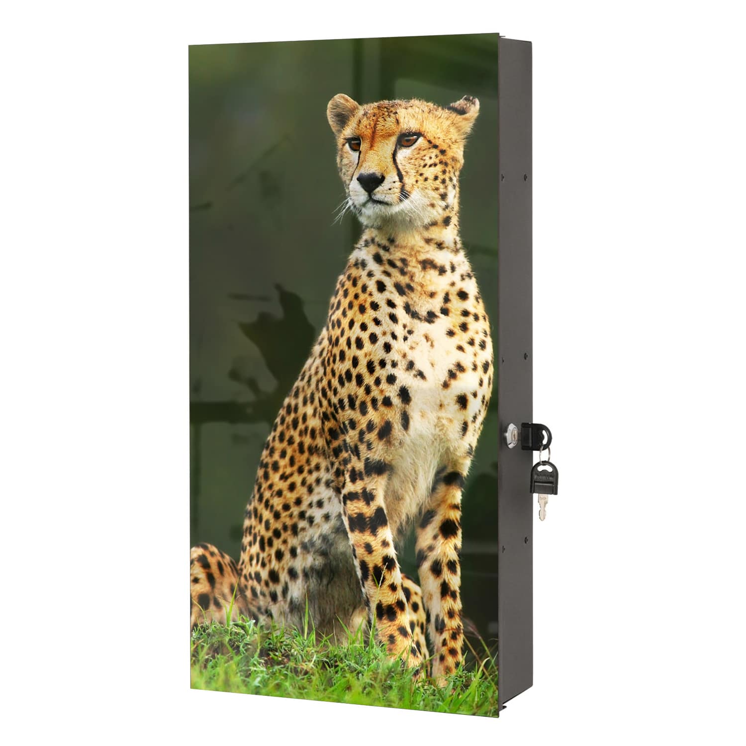 Medizinschrank Wilder Gepard