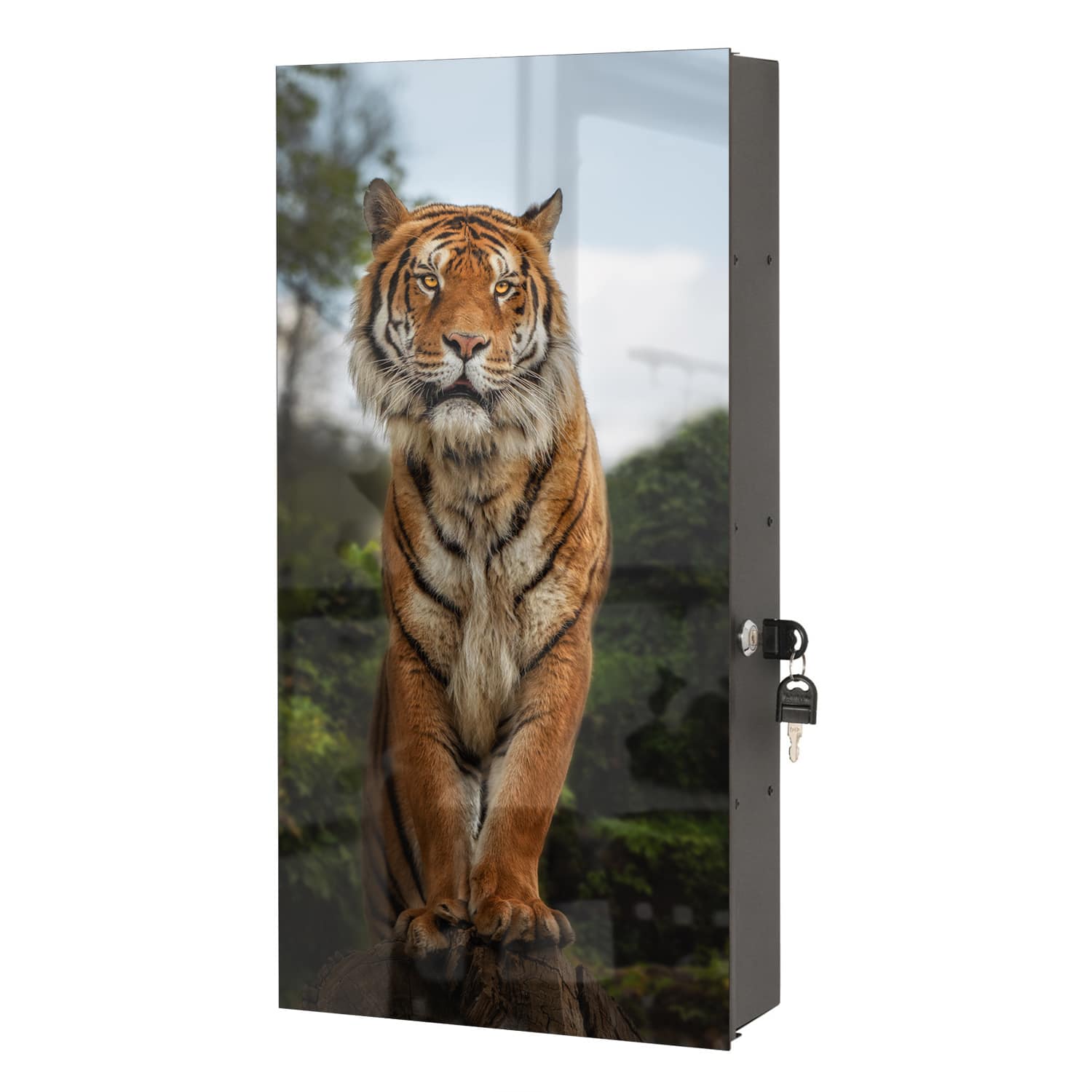 Medizinschrank Bengalischer Tiger auf Felsen