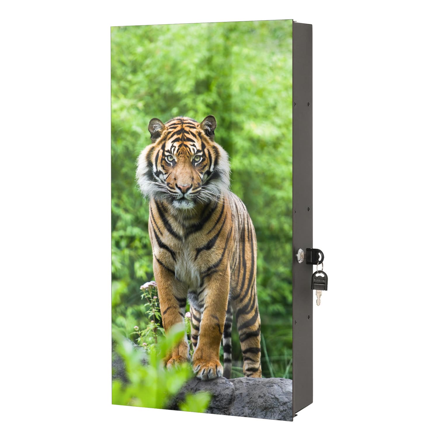 Medizinschrank Bengalischer Tiger