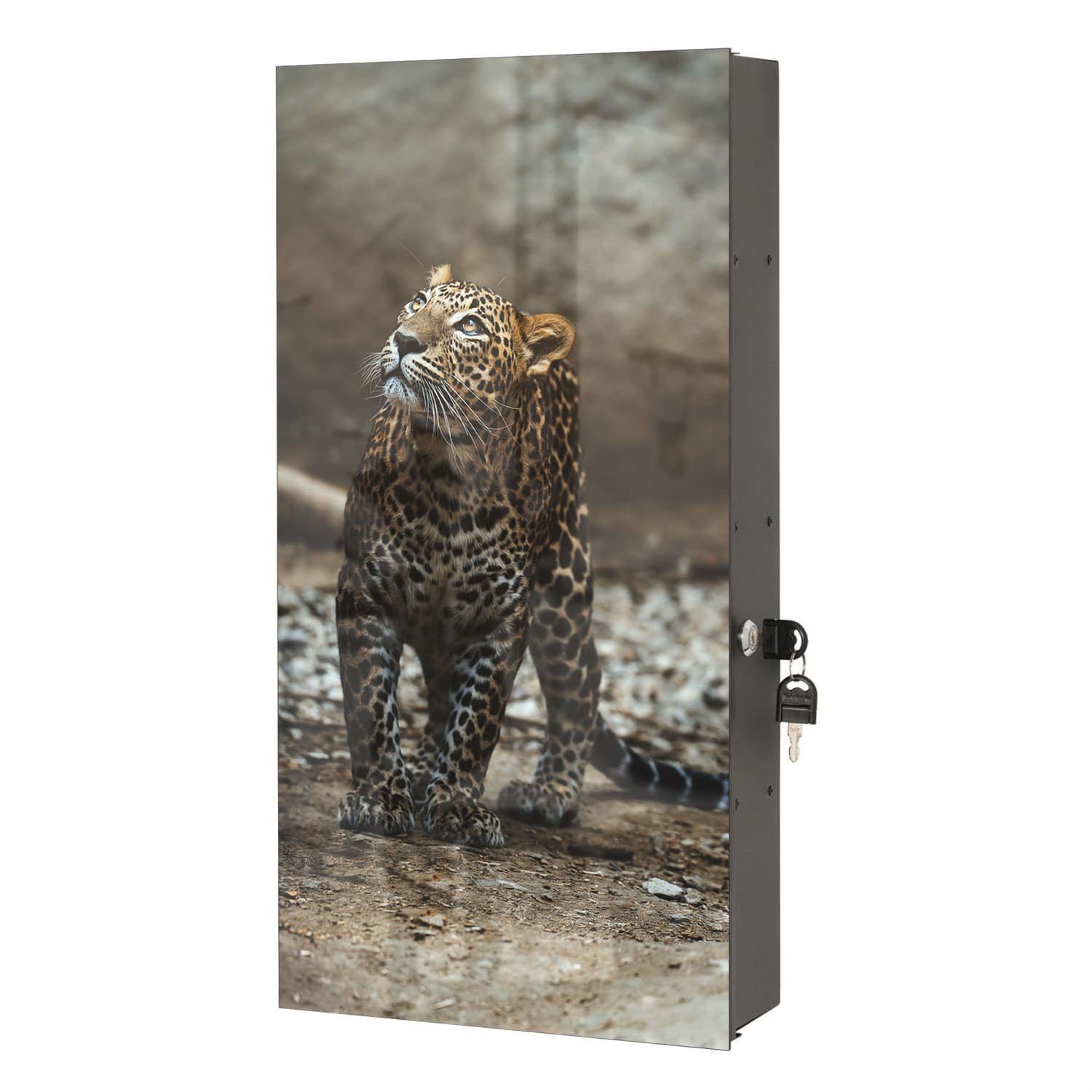 Medizinschrank Ceylon-Leopard