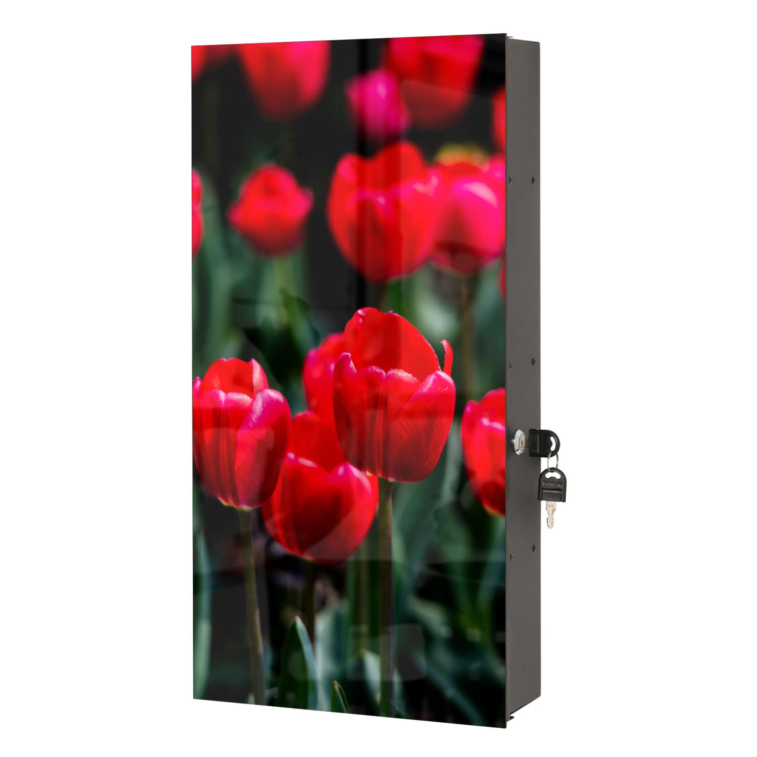 Medizinschrank Tulpen im Feld