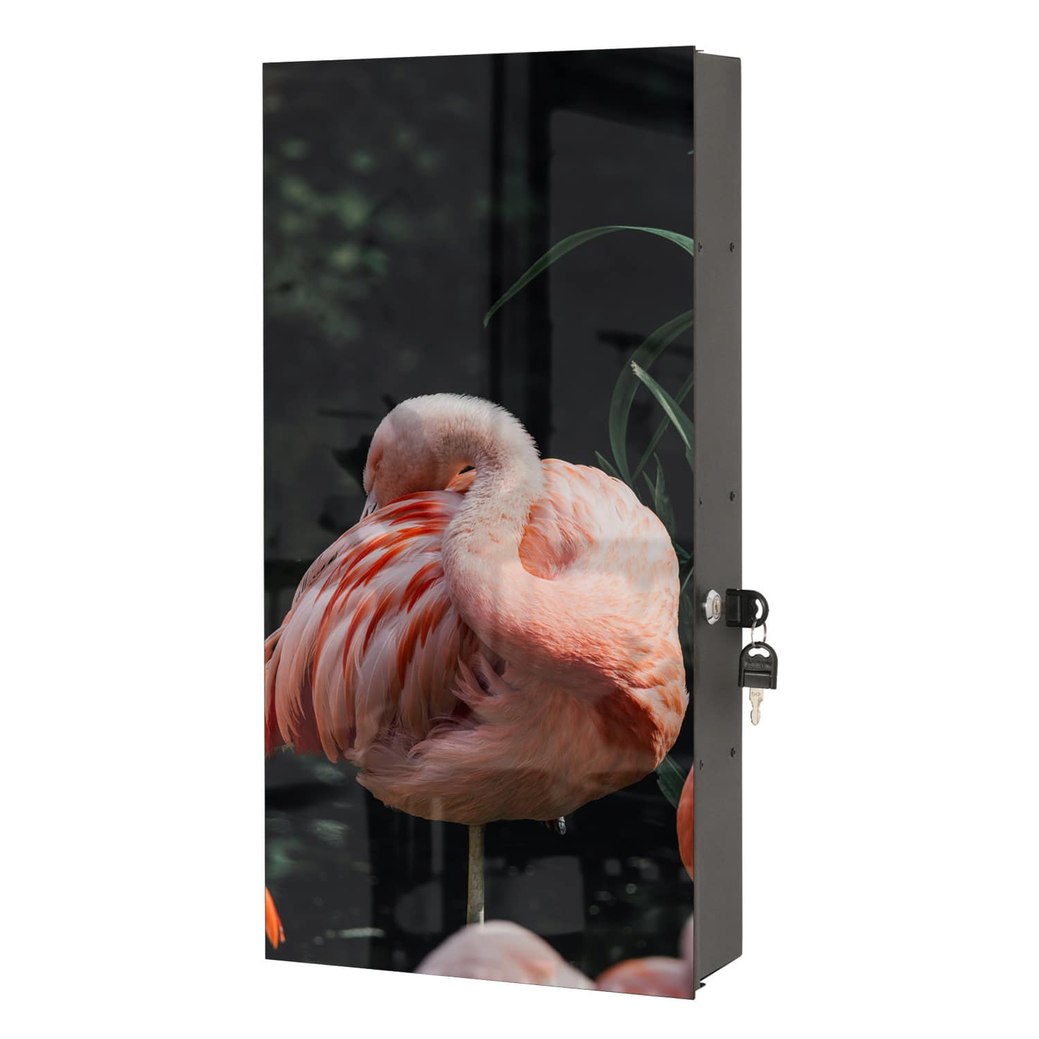 Medizinschrank Flamingo in der Natur