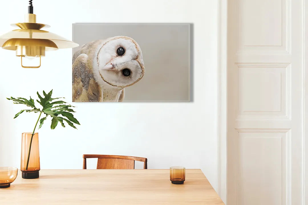 Kork-Pinnwände auf Leinwand mit porträt einer schleiereule – Format 100 × 70 cm