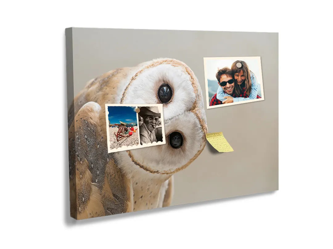 Kork-Pinnwände auf Leinwand mit porträt einer schleiereule – Format 60 × 40 cm