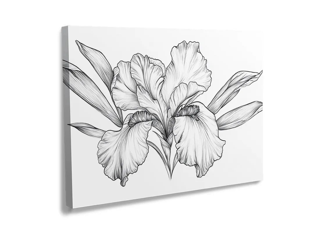 Kurkborden op canvas met gedetailleerde zwart-wit irisbloem – formaat 120 × 80 cm