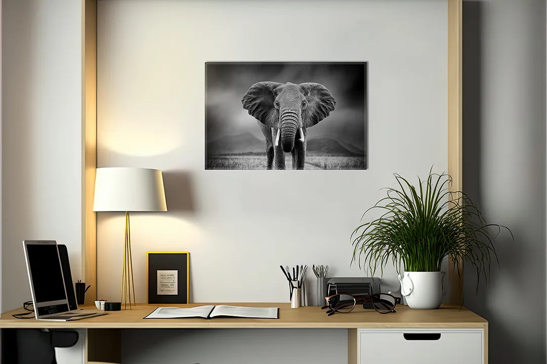 Kurkborden op canvas met zwart-wit olifantenportret – formaat 140 × 100 cm