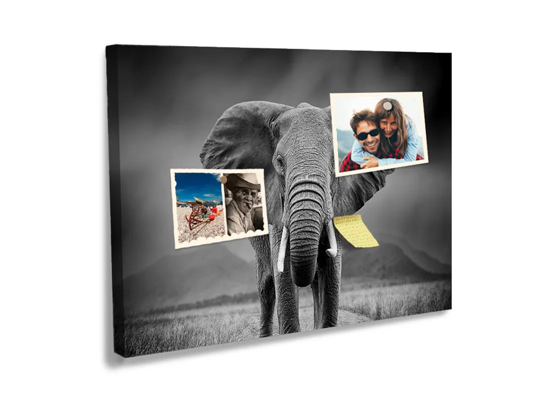 Kork-Pinnwände auf Leinwand mit schwarz-weiß-elefantenporträt – Format 60 × 40 cm