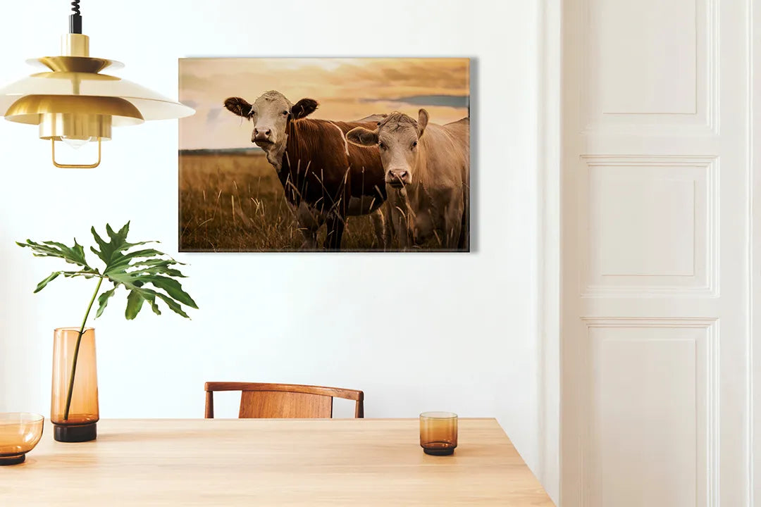 Kork-Pinnwände auf Leinwand mit kühe auf einer weide bei sonnenuntergang – Format 100 × 70 cm