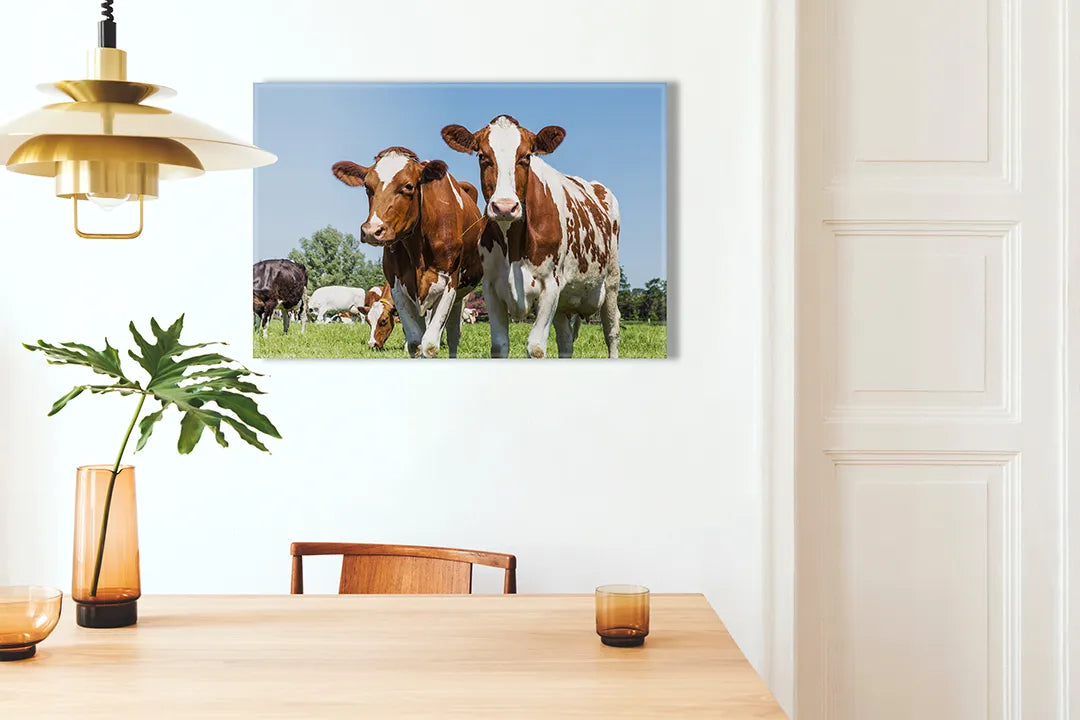 Kurkborden op canvas met koeien in een groene weide – formaat 100 × 70 cm